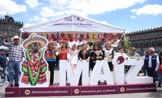 Maíz nativo en CDMX: Gobierno anuncia apoyos, semillas y nuevos mercados para productores