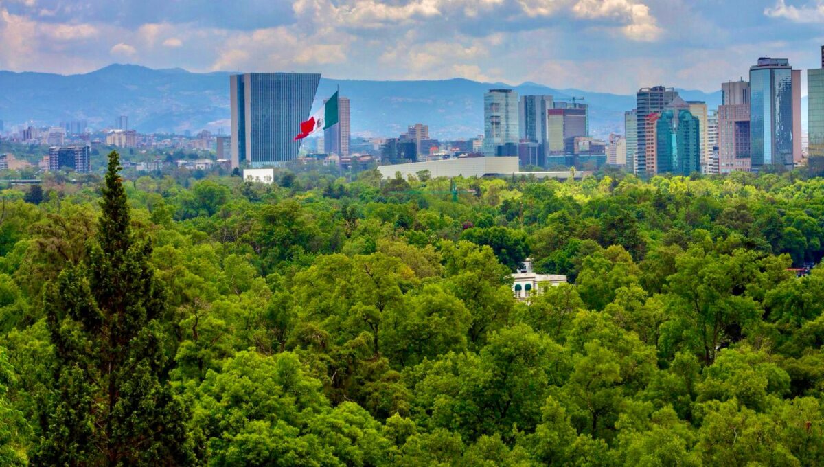 Entre árboles, agua y reciclaje: el balance ambiental presentado por CDMX