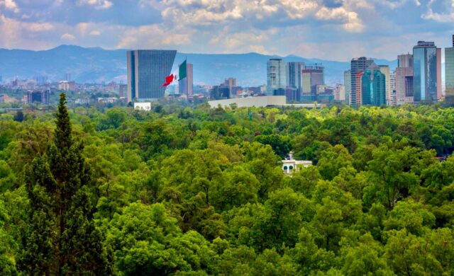 Entre árboles, agua y reciclaje: el balance ambiental presentado por CDMX