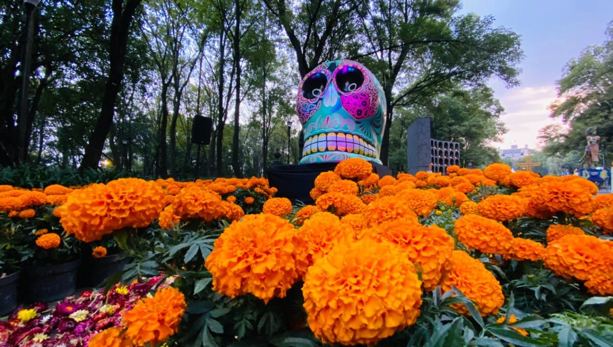 Chapultepec prepara tres días de tradición y cultura con “El Sendero del Cempasúchil”