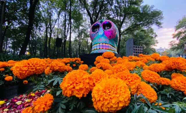 Chapultepec prepara tres días de tradición y cultura con “El Sendero del Cempasúchil”