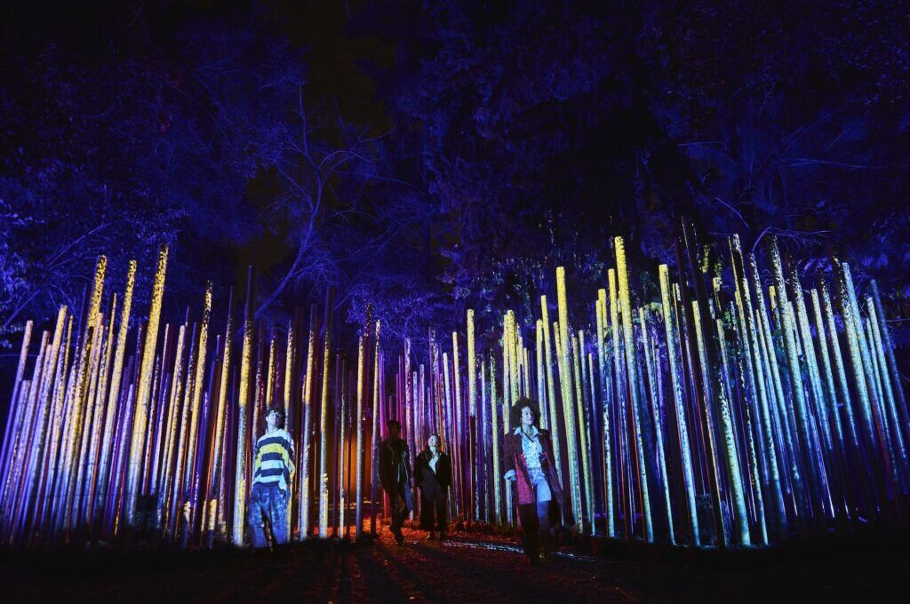 Light Cycles regresa a Chapultepec: fechas y detalles del recorrido nocturno