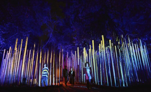 Light Cycles regresa a Chapultepec: fechas y detalles del recorrido nocturno