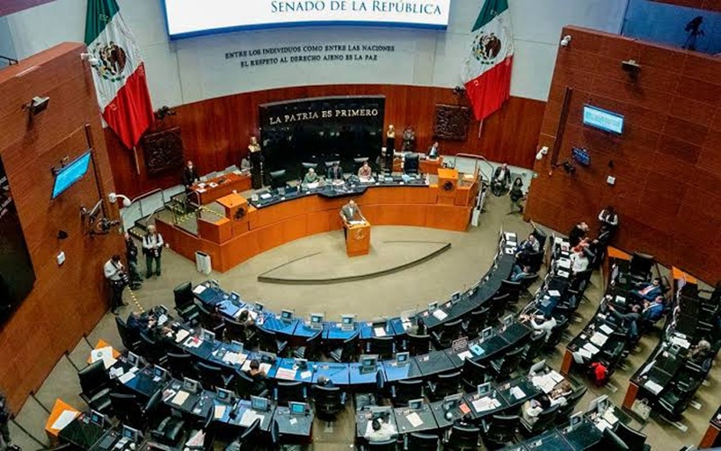 Senado de México elimina 10 años de información pública y contratos