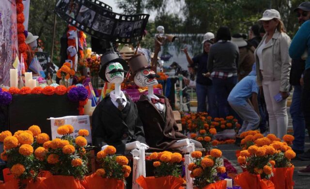 La Megaofrenda UNAM 2026 regresa a Universum con más de 70 altares y un homenaje a 475 años de historia