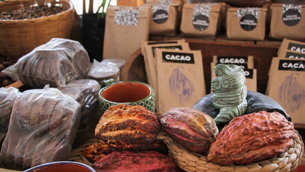 Cacao, chocolate artesanal y bebidas ancestrales: el Festival de Cacao y Chocolate llega al Museo Anahuacalli